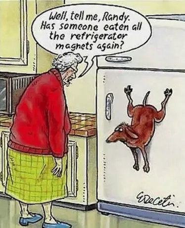 Well. Tell me. Randy, Has Someone eaten all the refrigerator magnets again?